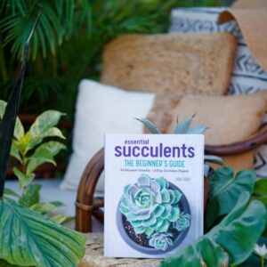 Essential Succulents - The Beginner Guide