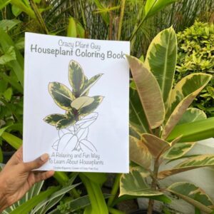 Houseplant Colouring Book - The Crazy Plant Guy