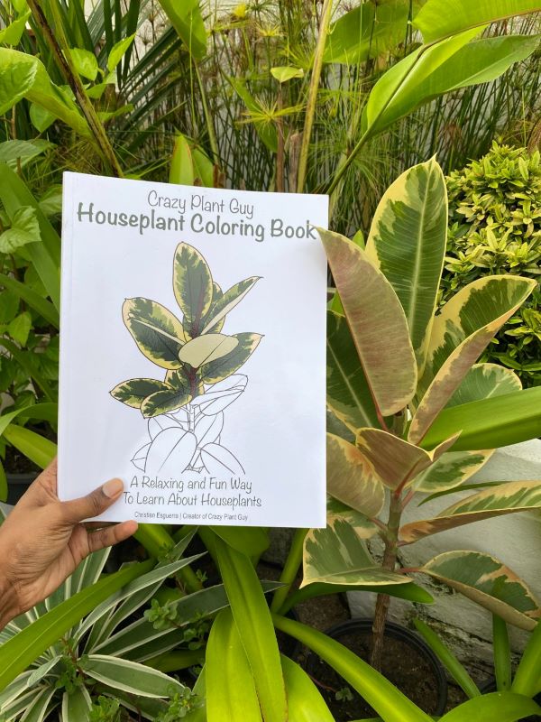 Houseplant Colouring Book - The Crazy Plant Guy