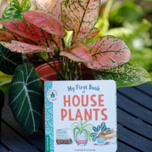 My First Book of House Plants