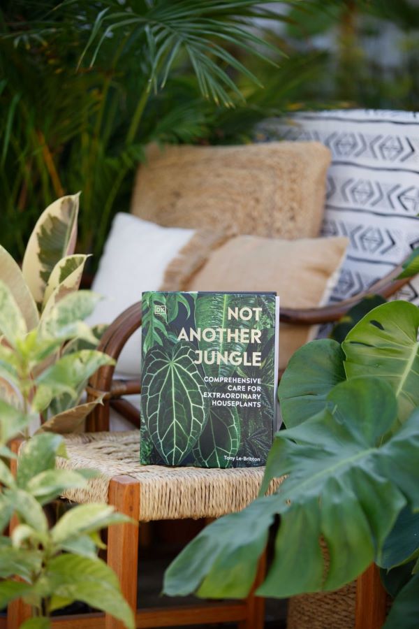 Not Another Jungle - Comprehensive care for extraordinary houseplants