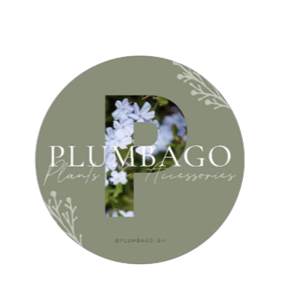 Plumbago